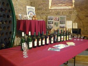 Samostanska klet Frančiškanskega samostana 1